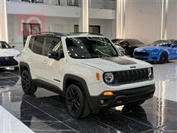 جيب رينيجيد